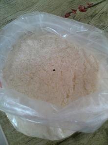 有点料官网,解锁生活新趣味